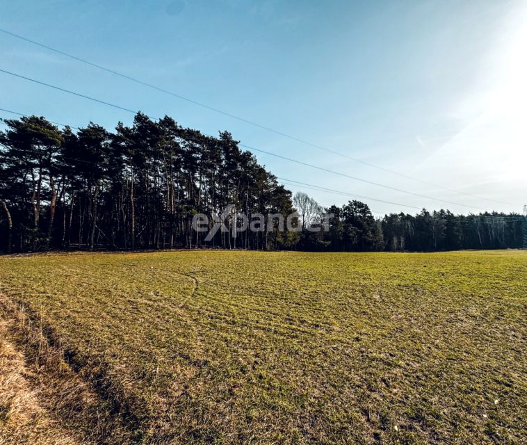 Działka rolna Ostrzeszów-Pustkowie