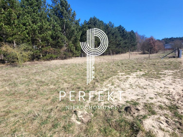 Działka budowlana Pniewo