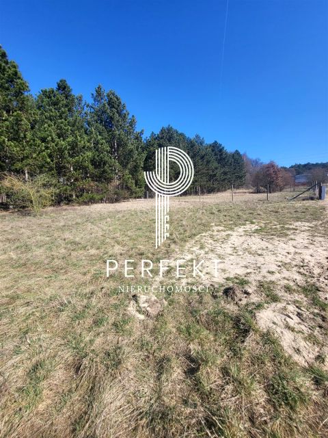 Działka budowlana Pniewo