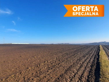 Działka siedliskowa Wronin