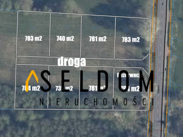 Działka budowlana LICHEŃ STARY