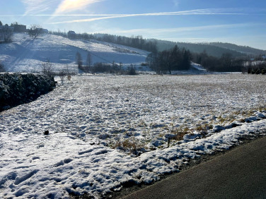 Działka budowlana Mszalnica