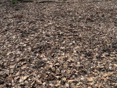 Działka budowlana Pruszków