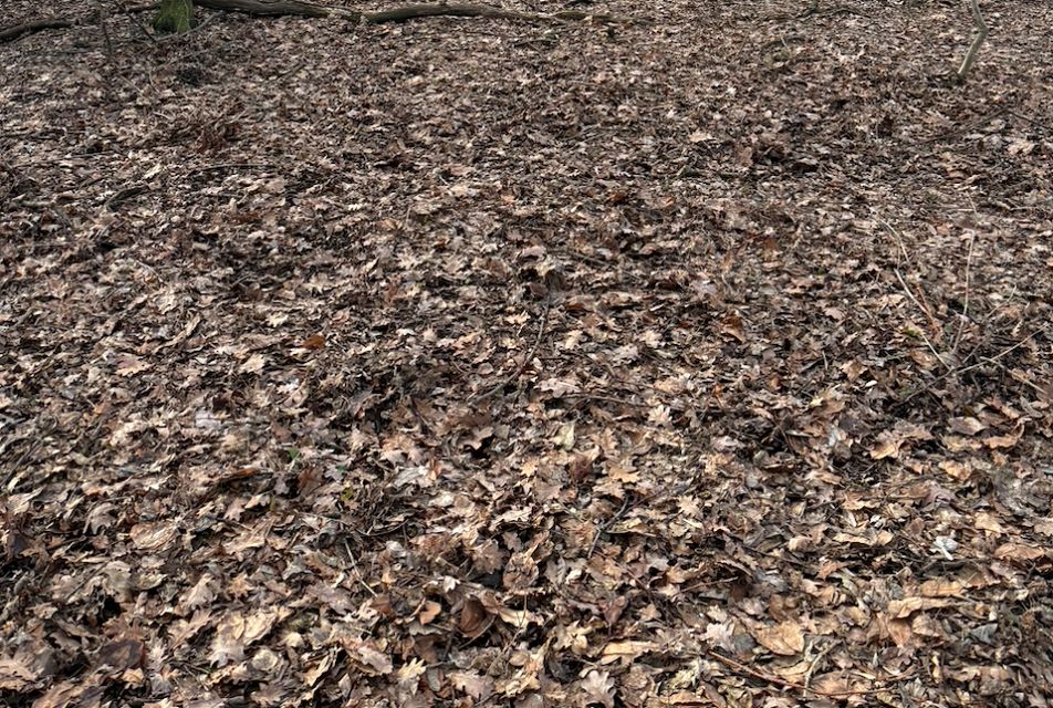 Działka budowlana Pruszków