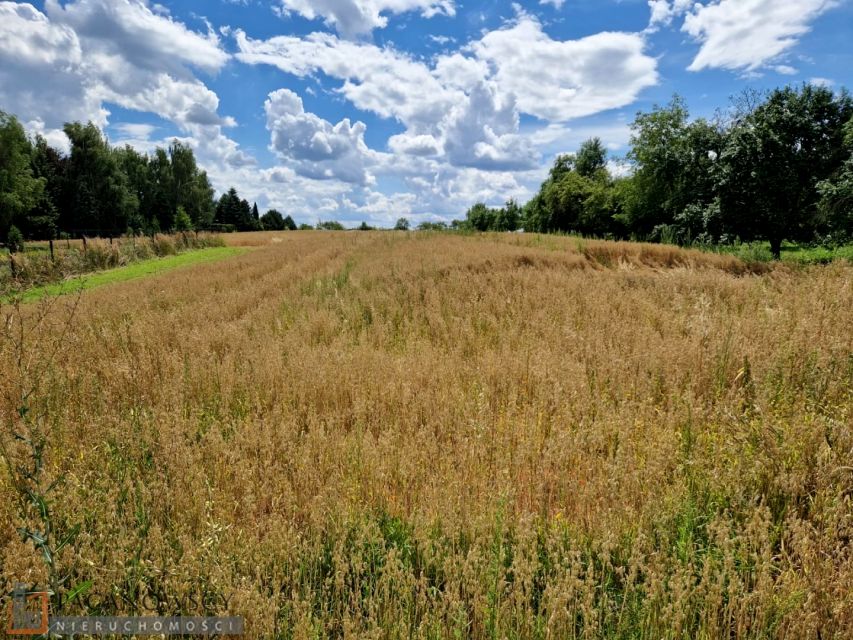 Działka budowlana Kozierów