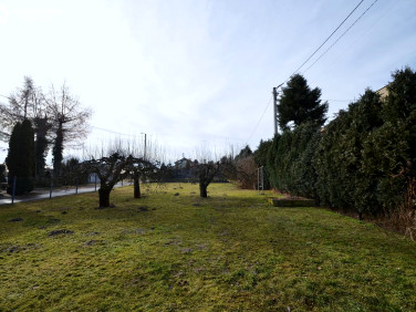 Działka budowlana Orzech