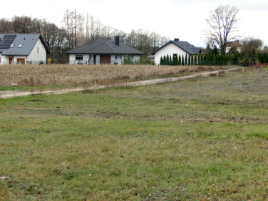 Działka budowlana Tołcze