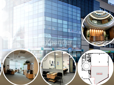 Lokal Rzeszów wynajem