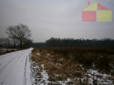 Działka inwestycyjna Żary