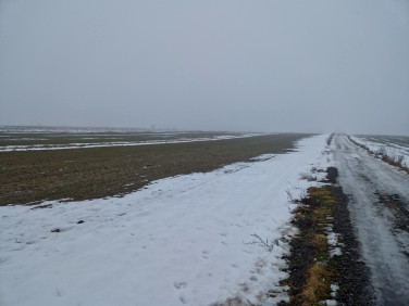 Działka rolna Ignaców