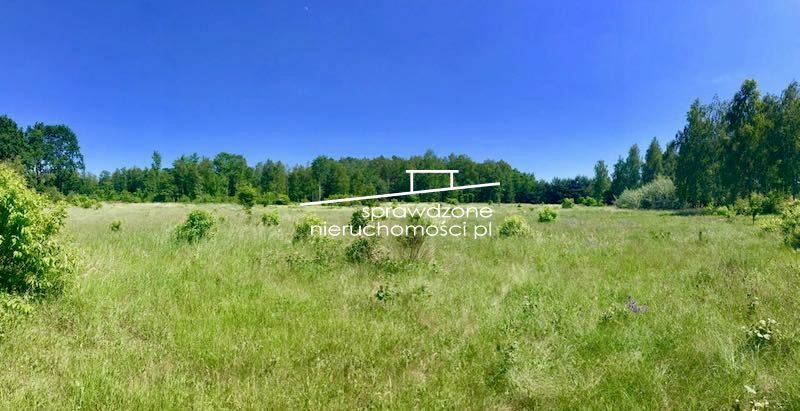 Działka siedliskowa Wiskitki