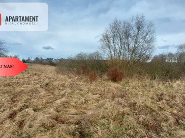 Działka leśna Kiełpin