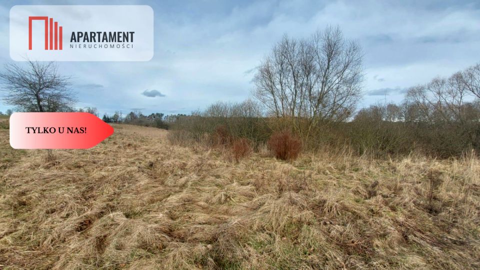 Działka leśna Kiełpin