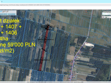 Zalesiona działka Złotniki