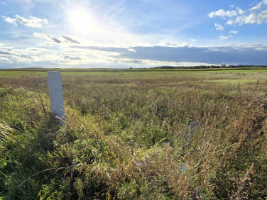 Działka inna Pajewo sprzedam