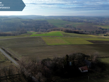 Działka Wiśniowa