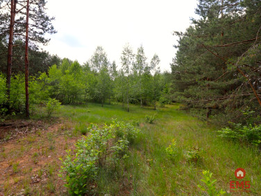 Działka budowlana Płaska