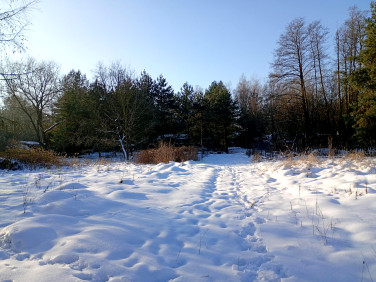 Działka budowlana Siestrzeń