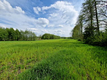 Działka inna Wólka Dobryńska