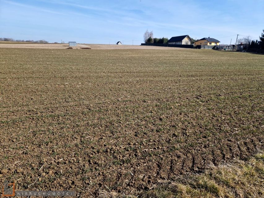Działka budowlana Sieciechowice