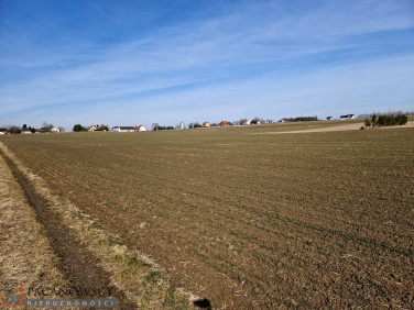 Działka budowlana Sieciechowice