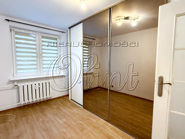 Mieszkanie Lębork wynajem