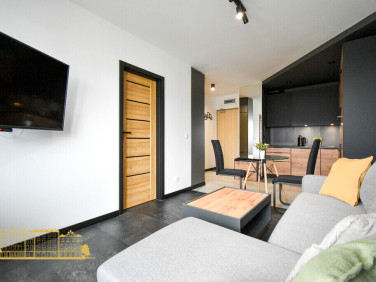 Mieszkanie Kraków wynajem