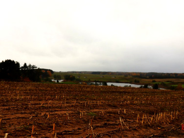 Działka rolna Żegary