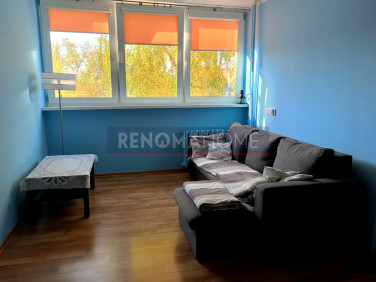 Mieszkanie Lubin
