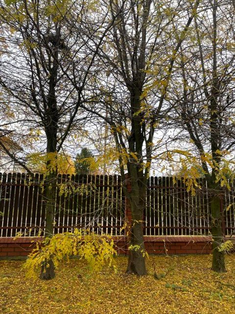 Działka budowlana Piastów