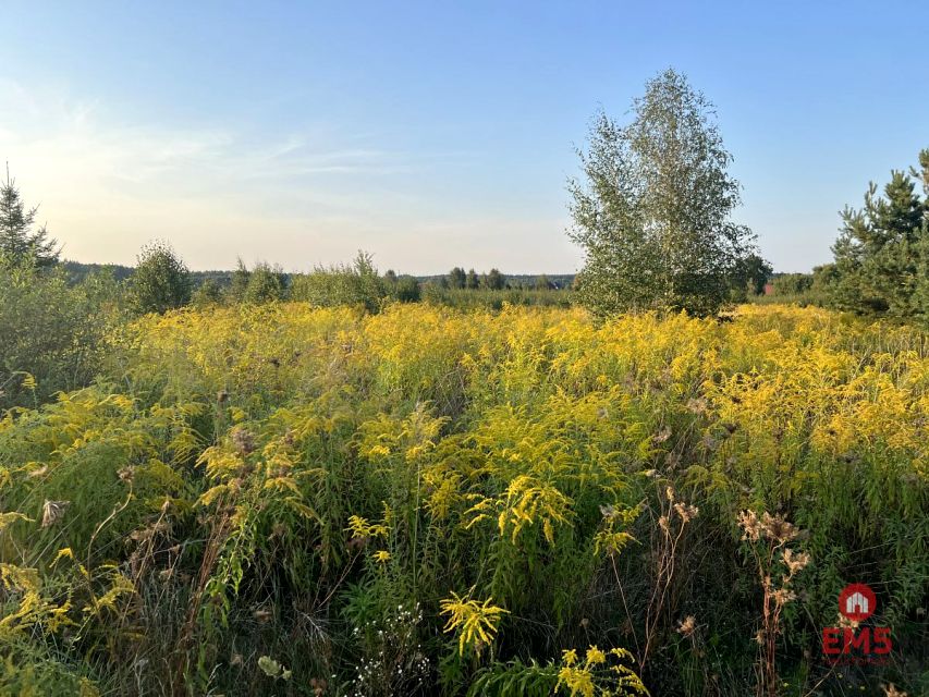 Działka rolna Morze sprzedam