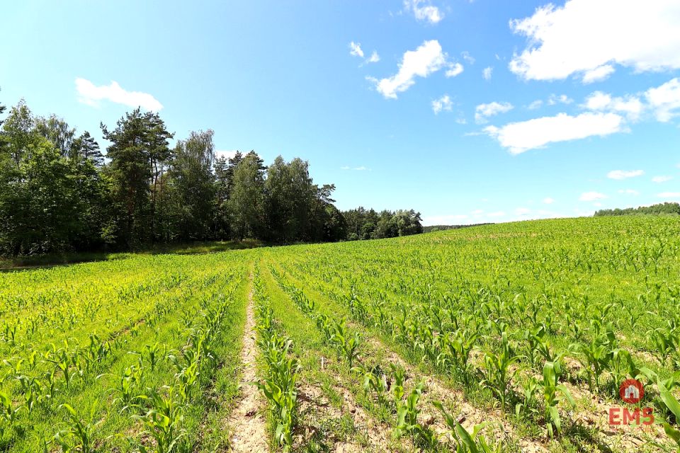 Działka Rożyńsk Wielki