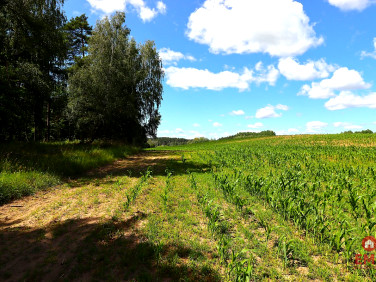 Działka budowlana Rożyńsk Wielki
