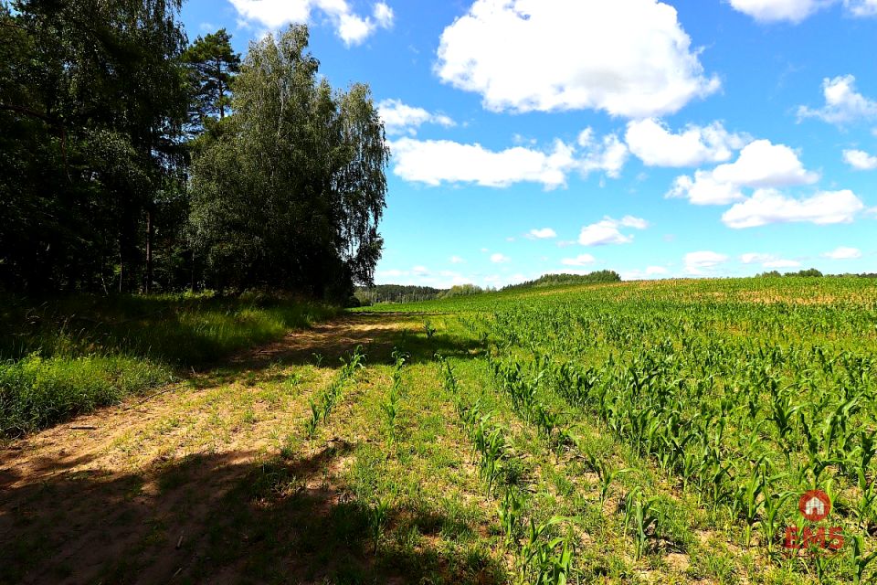 Działka budowlana Rożyńsk Wielki
