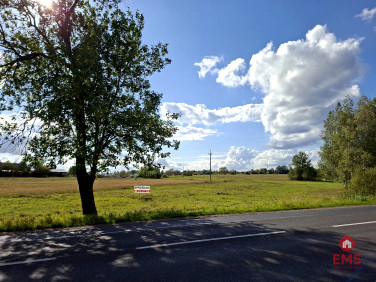 Działka inna Kuriany