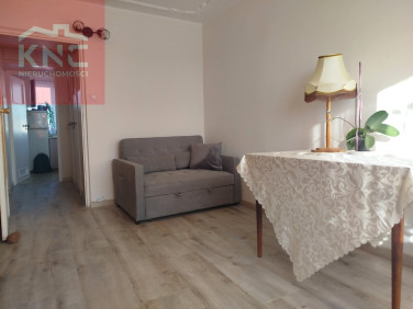 Mieszkanie Toruń wynajem