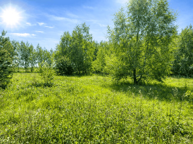 Działka Barcice Drwalewskie