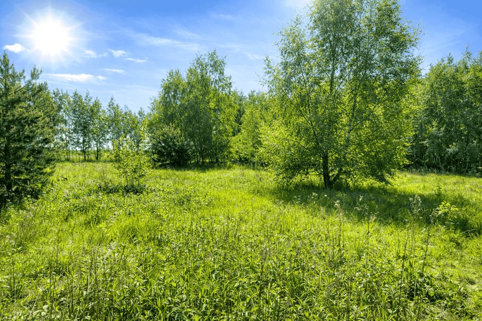 Działka Barcice Drwalewskie