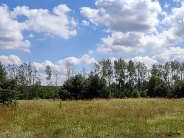 Działka budowlana Ochla