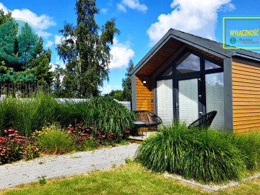 Lokal Jastrzębia Góra