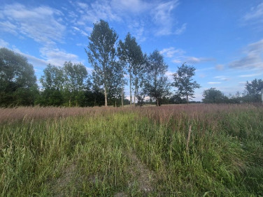 Działka budowlana Sobuczyna