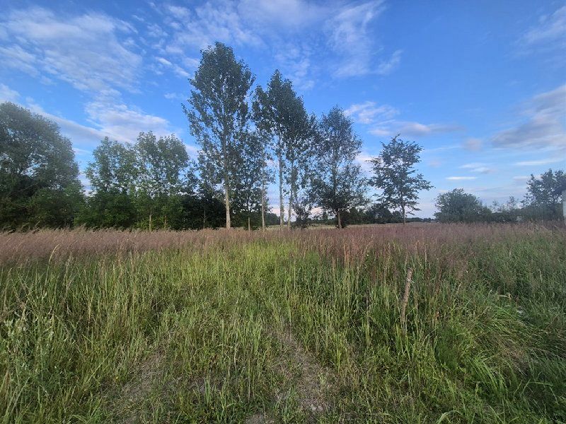 Działka budowlana Sobuczyna