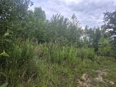 Działka budowlana Poczesna