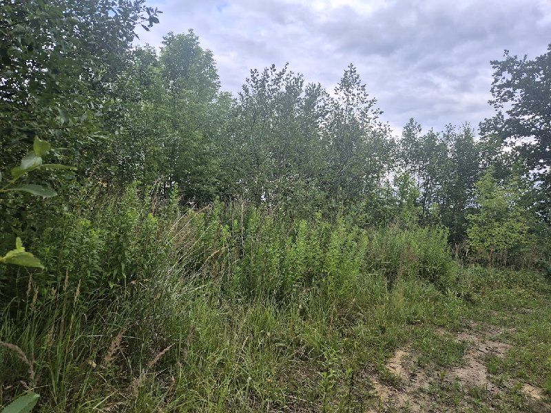 Działka budowlana Poczesna