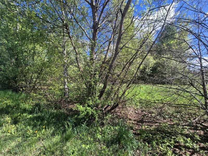 Działka budowlana Korwinów