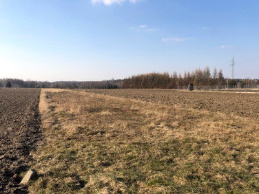 Działka budowlana Pierzchno