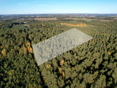 Działka leśna Brody