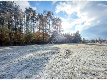 Działka budowlana Osowiec