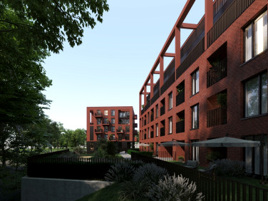 Lokal Katowice