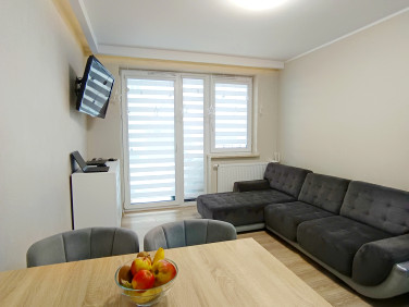 Mieszkanie przy lesie